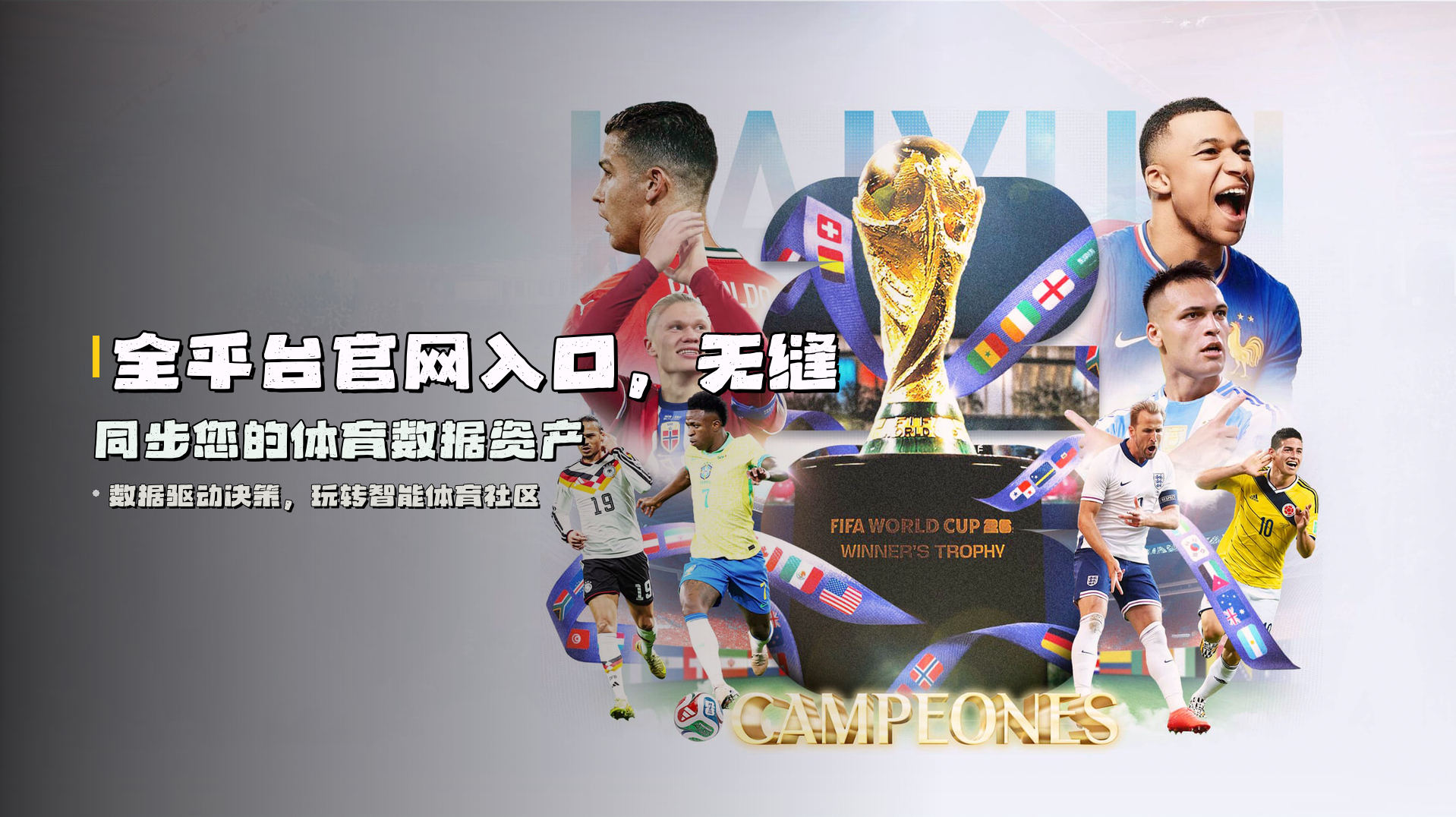 全平台官网入口，无缝同步您的体育数据资产